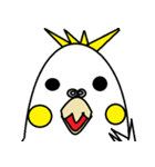 ミャーとマロとおかめとツートン君（個別スタンプ：1）