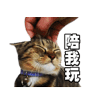 Cute DuDu（個別スタンプ：11）