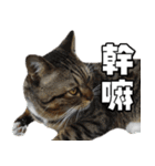 Cute DuDu（個別スタンプ：14）