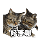 Cute DuDu（個別スタンプ：31）