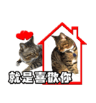 Cute DuDu（個別スタンプ：39）
