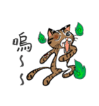 This is ours wildlife conservation（個別スタンプ：13）