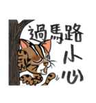 This is ours wildlife conservation（個別スタンプ：16）
