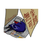 This is ours wildlife conservation（個別スタンプ：22）