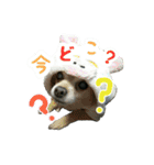 KAWAMURA's dogs（個別スタンプ：7）
