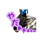KAWAMURA's dogs（個別スタンプ：22）