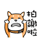 The Space Pups 1（個別スタンプ：27）