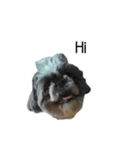 Woonsen Dog（個別スタンプ：7）