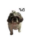 Woonsen Dog（個別スタンプ：15）