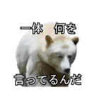 アニバーサルスタジオ（個別スタンプ：2）