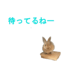 ウサギのミントちゃん（個別スタンプ：2）