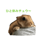 ウサギのミントちゃん（個別スタンプ：4）