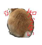 ウサギのミントちゃん（個別スタンプ：7）