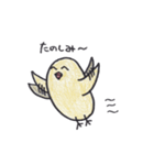 ちょっと変わった鳥ピーちゃんの日常（個別スタンプ：13）