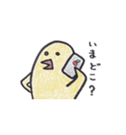 ちょっと変わった鳥ピーちゃんの日常（個別スタンプ：33）