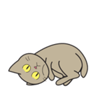 Easy Brown Cat（個別スタンプ：17）
