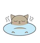 Easy Brown Cat（個別スタンプ：24）