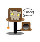 Easy Brown Cat（個別スタンプ：34）