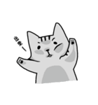YIREN CAT 2（個別スタンプ：9）