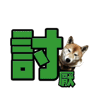 Shibainu's talk（個別スタンプ：7）