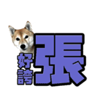 Shibainu's talk（個別スタンプ：11）