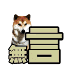 Shibainu's talk（個別スタンプ：12）