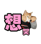 Shibainu's talk（個別スタンプ：21）