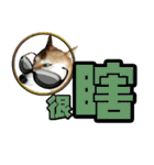 Shibainu's talk（個別スタンプ：23）
