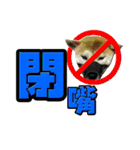 Shibainu's talk（個別スタンプ：31）