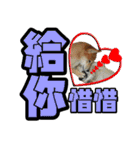 Shibainu's talk（個別スタンプ：36）
