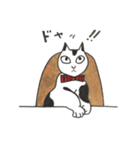 ニャンにゃんスタンプ（個別スタンプ：6）