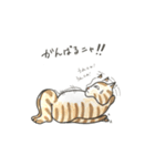 ニャンにゃんスタンプ（個別スタンプ：7）