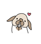 うさぎのぷくちゃん・チンチラのぷにちゃん（個別スタンプ：1）