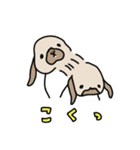 うさぎのぷくちゃん・チンチラのぷにちゃん（個別スタンプ：3）