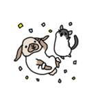 うさぎのぷくちゃん・チンチラのぷにちゃん（個別スタンプ：12）