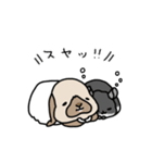 うさぎのぷくちゃん・チンチラのぷにちゃん（個別スタンプ：16）