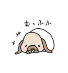 うさぎのぷくちゃん・チンチラのぷにちゃん（個別スタンプ：19）