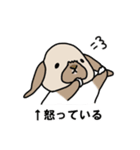 うさぎのぷくちゃん・チンチラのぷにちゃん（個別スタンプ：22）