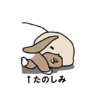 うさぎのぷくちゃん・チンチラのぷにちゃん（個別スタンプ：23）