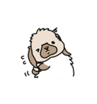 うさぎのぷくちゃん・チンチラのぷにちゃん（個別スタンプ：30）