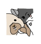 うさぎのぷくちゃん・チンチラのぷにちゃん（個別スタンプ：32）