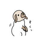 うさぎのぷくちゃん・チンチラのぷにちゃん（個別スタンプ：36）