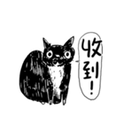 eh！cat！ Black and white illustrations（個別スタンプ：1）