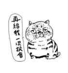 eh！cat！ Black and white illustrations（個別スタンプ：6）