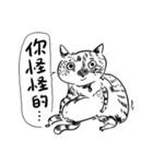 eh！cat！ Black and white illustrations（個別スタンプ：8）