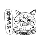 eh！cat！ Black and white illustrations（個別スタンプ：11）