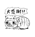 eh！cat！ Black and white illustrations（個別スタンプ：12）