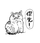 eh！cat！ Black and white illustrations（個別スタンプ：13）