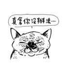 eh！cat！ Black and white illustrations（個別スタンプ：14）