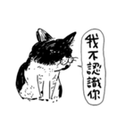 eh！cat！ Black and white illustrations（個別スタンプ：33）